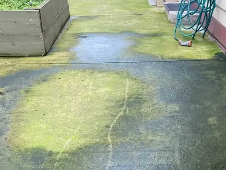 Before: concrete side path covered in moss and green algae